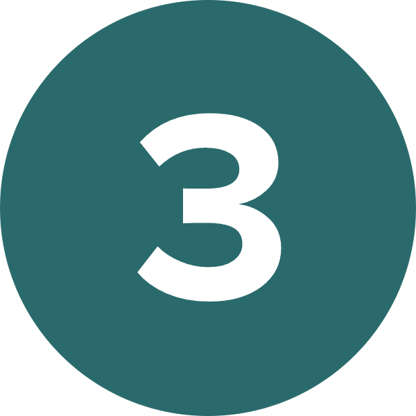 Parallel3 Number 3 Icon