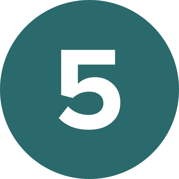 Parallel5 Number 5 Icon